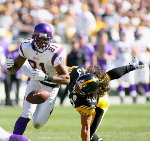 88972029RS027_MINNESOTA_VIK