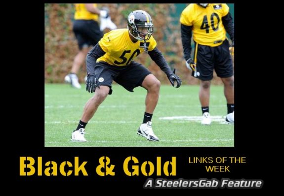 Shazier+Steelers+Rookie+2014+Banner