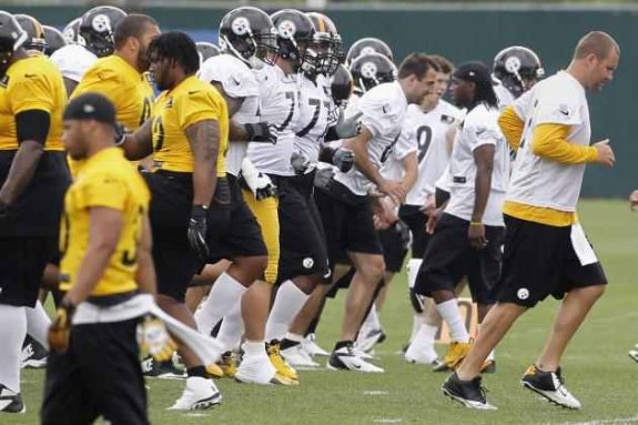 Pittsburgh_Steelers_Training_Camp_Group_2014_Latrobe_PA