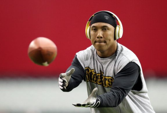 Pittsburgh Steelers v Arizona Cardinals