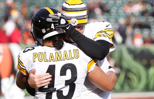 Videos: Troy Polamalu greatest hits and highlights